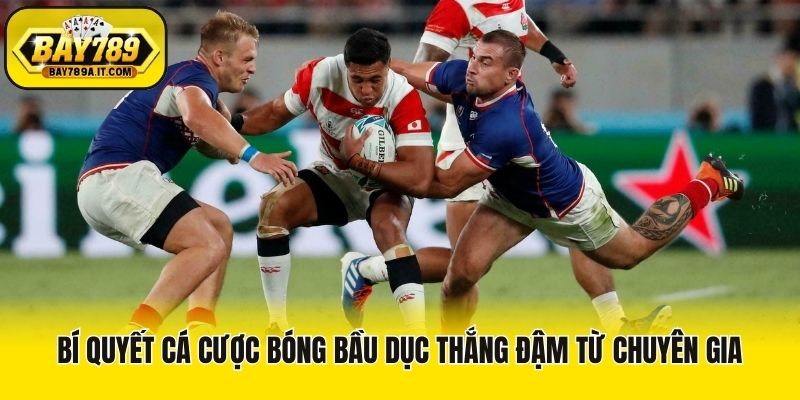Bí quyết cá cược bóng bầu dục thắng đậm từ chuyên gia