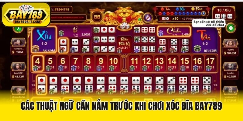 Các thuật ngữ cần nắm trước khi chơi xóc đĩa Bay789