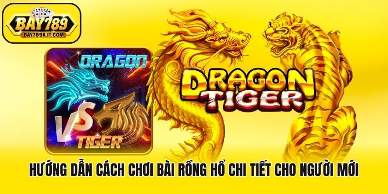 Hướng Dẫn Cách Chơi Bài Rồng Hổ Chi Tiết Cho Người Mới