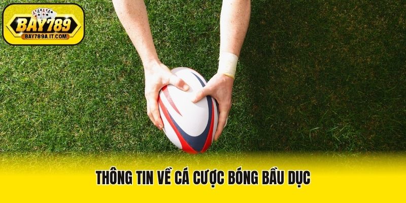 Thông tin về cá cược bóng bầu dục