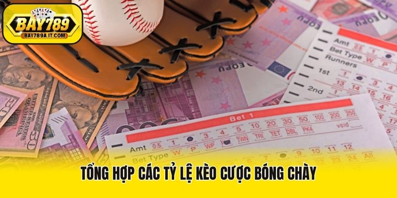 Tổng hợp các tỷ lệ kèo cược bóng chày