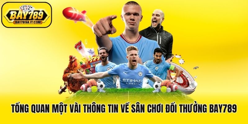 Tổng quan một vài thông tin về sân chơi đổi thưởng Bay789