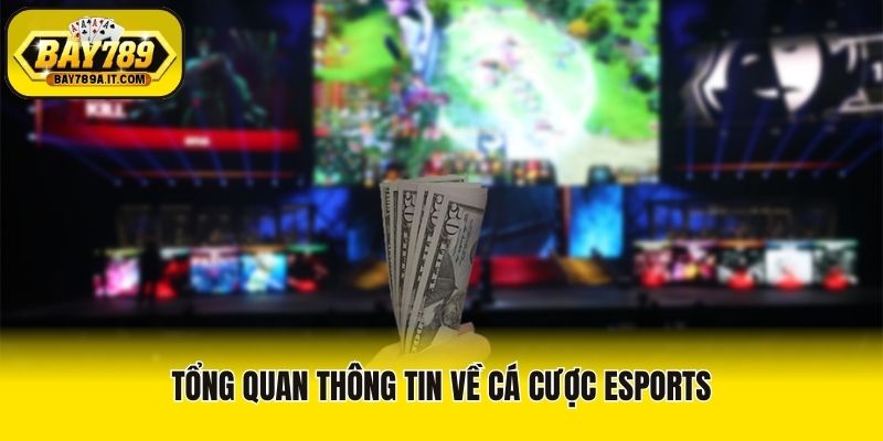 Tổng quan thông tin về cá cược esports