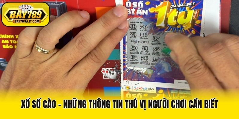Xổ Số Cào - Những Thông Tin Thú Vị Người Chơi Cần Biết